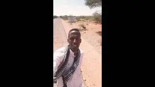 Degmada Gelinsoor...