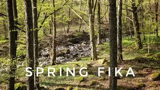 Fika in the Swedish Spring