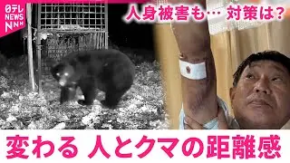 【クマ】人との