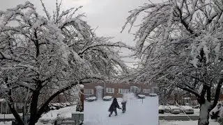 எங்க ஊருல அடித்த பனி புயல் நீங்களும் பாருங்க! | Heavy Snowfall of 2021|Kamalis Diary
