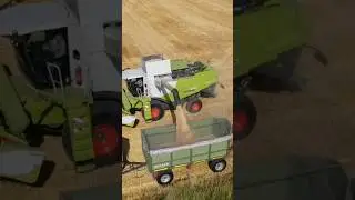 Claas Lexion 650 beim abbunkern 2023