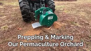 Placing Stakes and Grinding Stumps | Starting a Permaculture Orchard ep.2