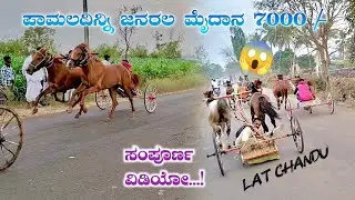 ಪಾಮಲದಿನ್ನಿ ಜನರಲ ಮೈದಾನ 7000 /-🚩💥#horseracing #horseriding #horsepower #horse 