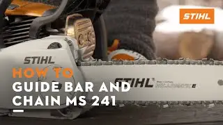 STIHL MS 241 ꘡ How to check the guide bar and saw chain of a chainsaw | Instruction