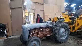 Ferguson 35 Guldfugl/Goldbelly