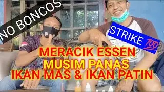 MERACIK ESSEN IKAN MAS MUSIM PANAS | ESSEN IKAN PATIN | Aroma BLACKCURRANT