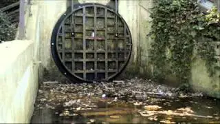 A WAR ON PLASTIC