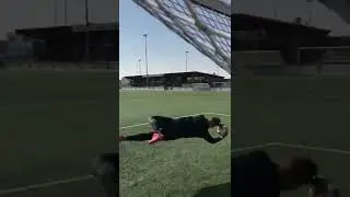 Вратарские перчатки за 5 долларов против 10 долларов 🧤💵 #шорты