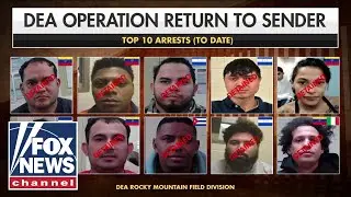 DEA has ’been busy’ arresting criminal migrants: Special agent