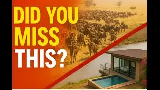 Did You Get the Full Story? Wildebeest Migration vs Luxury Hotel &mdash; What Really Happened?