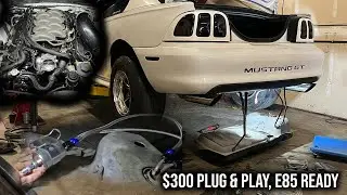 Coyote Swap Fuel System Made EASY!! (Starting control pack wiring) Coyote Swapped SN95 | Ep 5