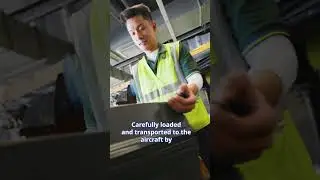 A luggage's journey to the flight