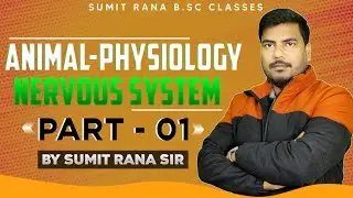 Nervous System Part-01 || Animal Physiology ||  2nd Semester || Sumit Rana Sir