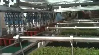 Plantadora
