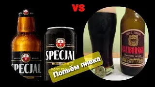 Попьём пивка. Дегустация польского пива. RACIBORSKIE vs SPECJAL