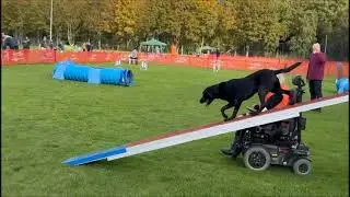 Para-Agility COCKINGA 2025 JUUL