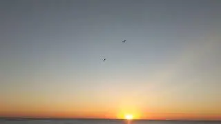Sweet Solstice Sunrise 2022 Chicago