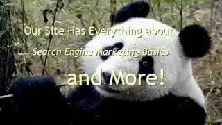 Search Engine Marketing Basics - How To Beat Google Panda