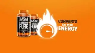 L Carnitine Pure MW