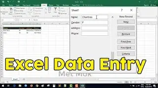 Data Entry Form in Excel - Easy (No Coding)