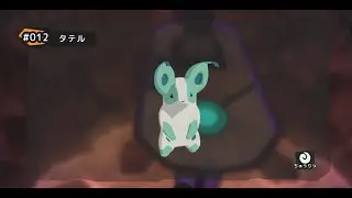 Tateru solo against Galios「Temtem」