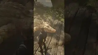 Ramener l&rsquo;alligator l&eacute;gendaire au camp dans red dead redemption 2 #rdr2 #gaming