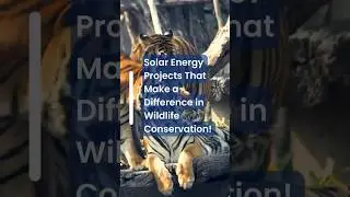 Harmonizing Nature and Technology: #animals #solarenergy #nature