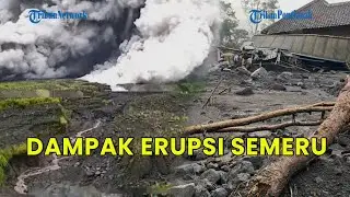 UPDATE❗ KONDISI SEMERU TERKINI: KORBAN TERLUKA, LAHAN RUSAK, 651 PASUKAN TNI TURUN TANGAN