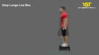 Drop Lunge Low Box