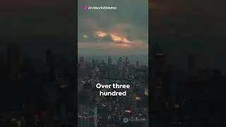 Mumbai Terror Attacks (2008)
