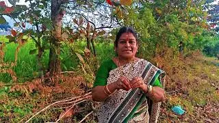 பொங்கல் பண்டிகை அன்று எத்தனை மணிக்கு பொங்கல் பானை வைக்க வேண்டும்? வழிபடும் முறை ...