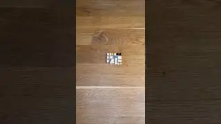 Can you do that? Sweet  kitten LEGO  #shorts #lego #tutorial #viral