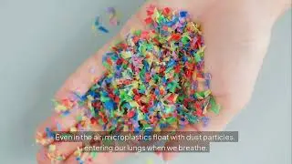 Microplastics Are Everywhere: The Hidden Environmental Crisis You Need to Know About