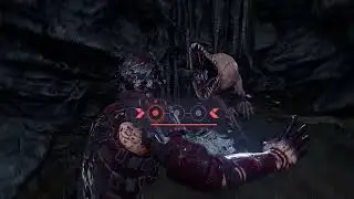 【NINJA GAIDEN 4 | 忍者龙剑传 4 | 4K | Normal difficulty 普通难度】初见流程 first walkthrough - P5（第五章：岚溪谷）