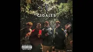 Cigales - LSB & Ast&eacute;rix