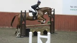 Intercollege Competition 2015 @ Merrist Wood | | EQUINE