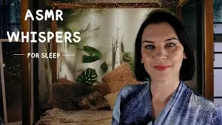 ASMR Whispers for Sleep (gentle whispering in each ear)