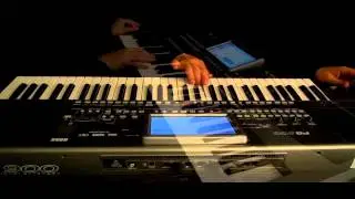 Korg Pa900 Professional Arranger   Fernando Draganici