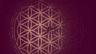 ORGONE ACCUMULATOR ( WILHELM REICH ) | MAGNETO-DIELECTRIC (SCALAR) FIELDS