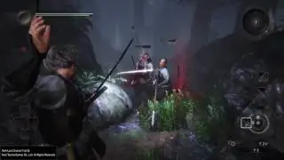 Nioh Last Chance-Probe Ende