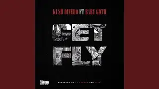 Get Fly