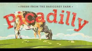 NEW! Picadilly Collection