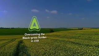 Black-grass control in OSR