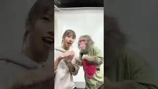 #monkeyface #monkey #monkeybaby #monkeycute #monkeys #monkeyfunny #monkeylove