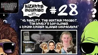 Bizarre Inquiries #28 