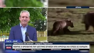 Τραγωδία στο Παρανέστι: Νεκρός ορειβάτης από επίθεση αρκούδας – Θλίψη σε Ξάνθη και Δράμα