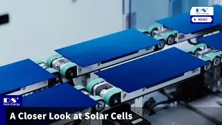 A Closer Look at Solar Cells#solar #solarcells #solarpower #solarenergy #solarpaneltechnology #fyp