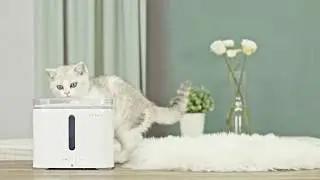 Fontaine Intelligente Design pour Chien et Chat