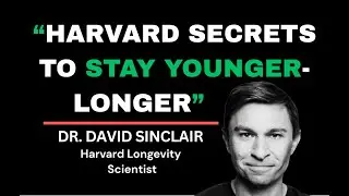Harvard Dr. David Sinclair Reveals 5 Daily Habits to Slow Aging Naturally