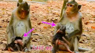 HEART SHOCKING/ BEFOR GET MILK/ MOM ANNA  PULL & FIGHT ANISSA /ANISSA CRIES LOUDLY  FIND TO SAVE